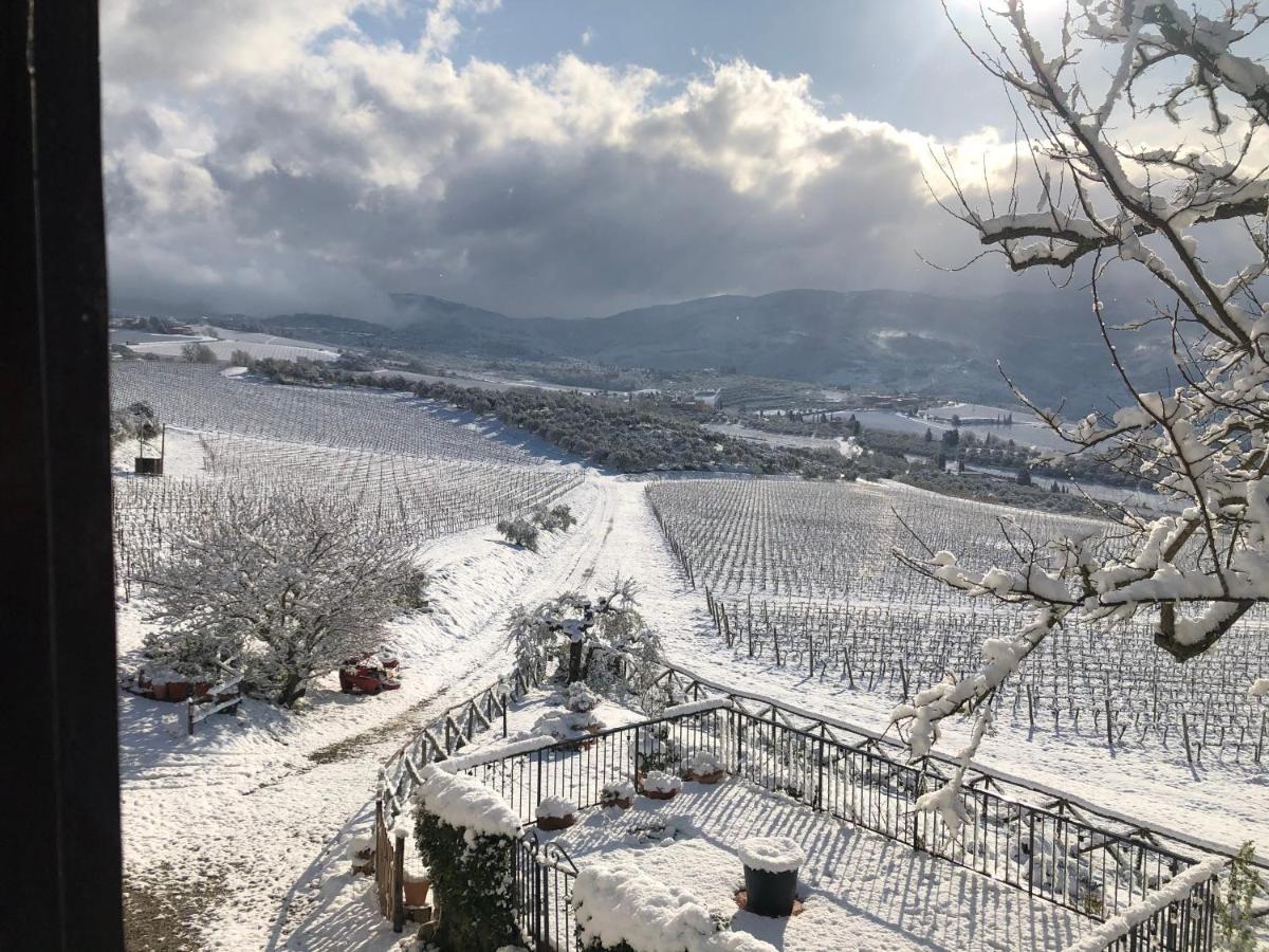 Вилла Azienda Agricola Il Poggiolino Pelago Экстерьер фото