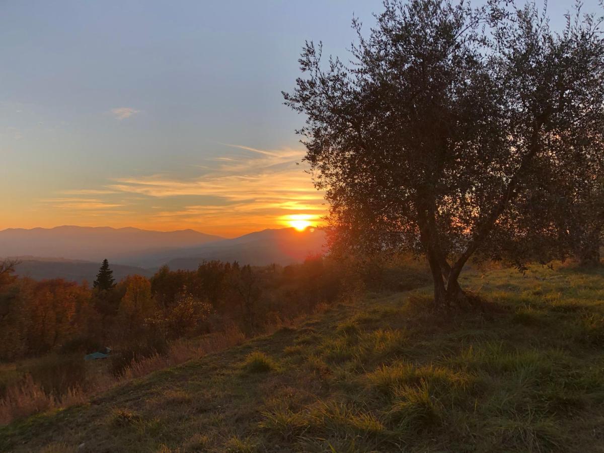 Вилла Azienda Agricola Il Poggiolino Pelago Экстерьер фото